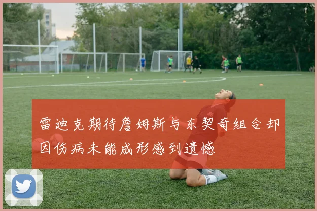 雷迪克期待詹姆斯与东契奇组合却因伤病未能成形感到遗憾